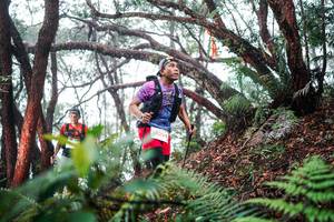 BIB: 
                            <button type="button" onclick="openModal(26295806)" class="btn btn-primary btn-sm float-right btn-popup" data-toggle="modal" data-target=".modal-high-quality">
                        <i class="fas fa-shopping-cart"></i> Add to Cart
                    </button>
                                            <button type="button" onclick="isThisMe(26295806, true)" class="btn btn-success btn-sm float-right btn-popup btn-isme hidden" data-toggle="tooltip" data-placement="bottom" title="นี่คือรูปของคุณใช่ไหม คลิกที่นี่เพื่อเอาเข้าอัลบั้ม">
                        <i class="fas fa-plus"></i> Add to album
                    </button>
                    <button type="button" onclick="isThisMe(26295806, false)" class="btn btn-warning btn-sm float-right btn-popup btn-isnotme hidden">
                        <i class="fas fa-ban"></i> Remove from album
                    </button>